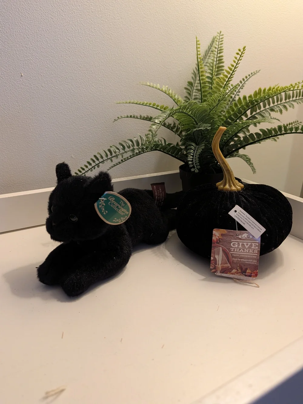 Black Velvet Pumpkin & Plush Black Cat Home Accent Duo